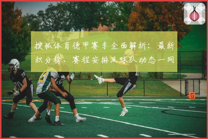 搜狐体育德甲赛季全面解析:最新积分榜、赛程安排及球队动态一网打尽