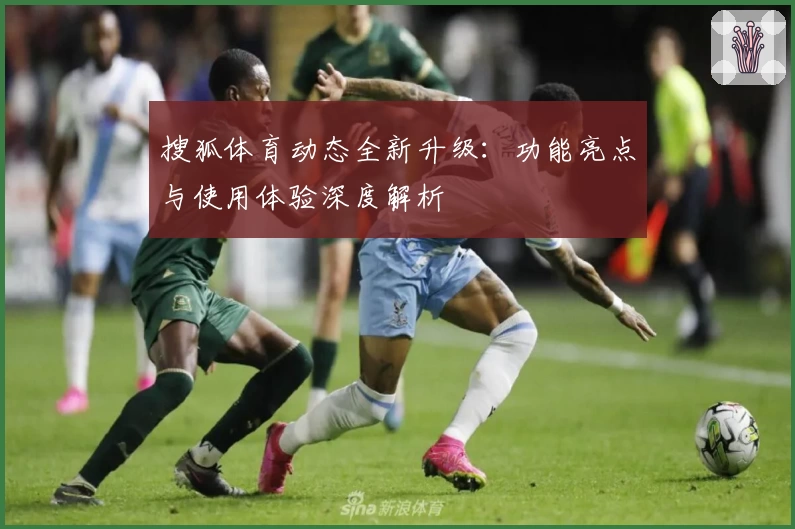 搜狐体育动态全新升级：功能亮点与使用体验深度解析