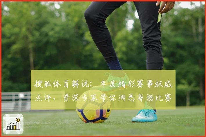 搜狐体育解说：年度精彩赛事权威点评，资深专家带你洞悉每场比赛关键细节