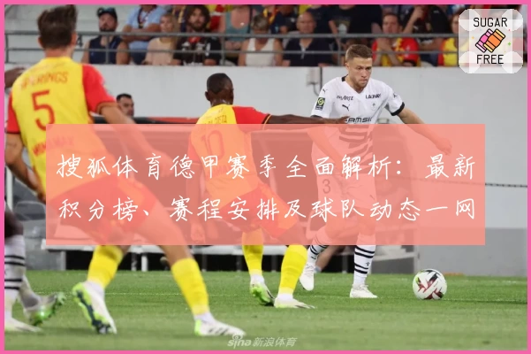 搜狐体育德甲赛季全面解析：最新积分榜、赛程安排及球队动态一网打尽