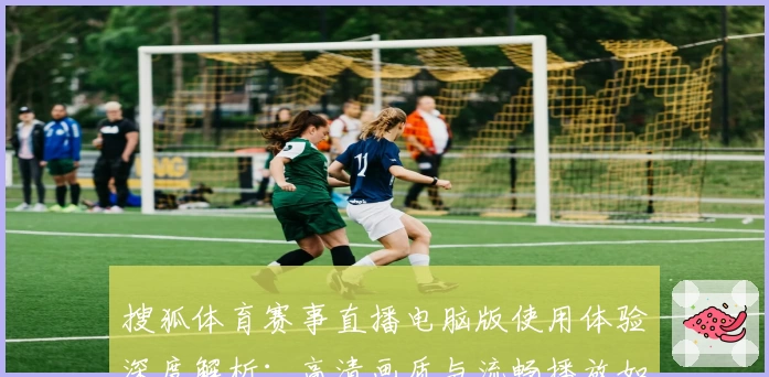 搜狐体育赛事直播电脑版使用体验深度解析：高清画质与流畅播放如何提升观看乐趣