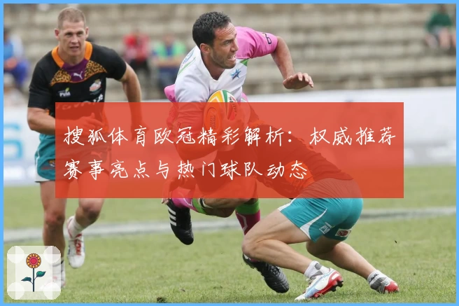 搜狐体育欧冠精彩解析：权威推荐赛事亮点与热门球队动态