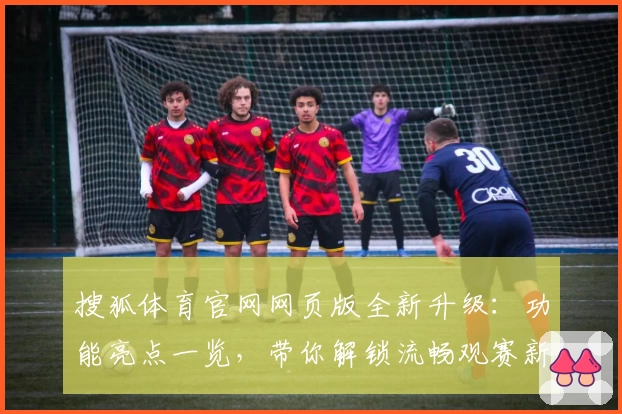 搜狐体育官网网页版全新升级：功能亮点一览，带你解锁流畅观赛新体验