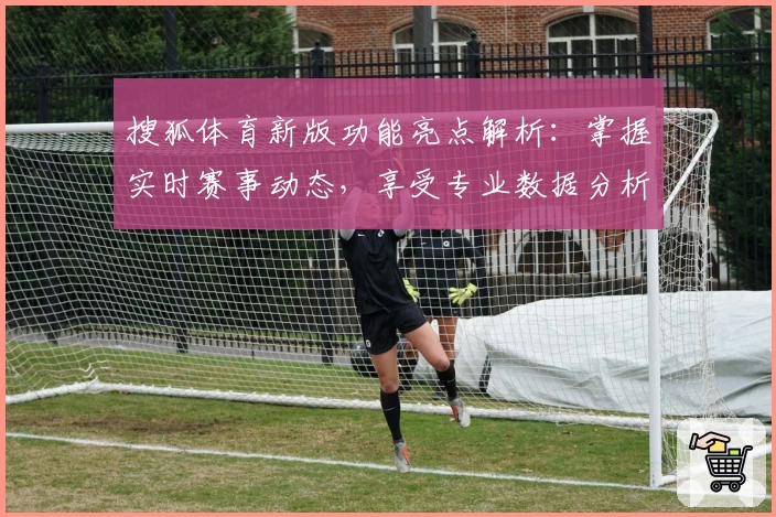 搜狐体育新版功能亮点解析：掌握实时赛事动态，享受专业数据分析