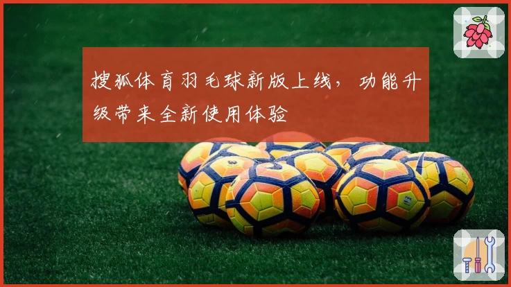 搜狐体育羽毛球新版上线，功能升级带来全新使用体验