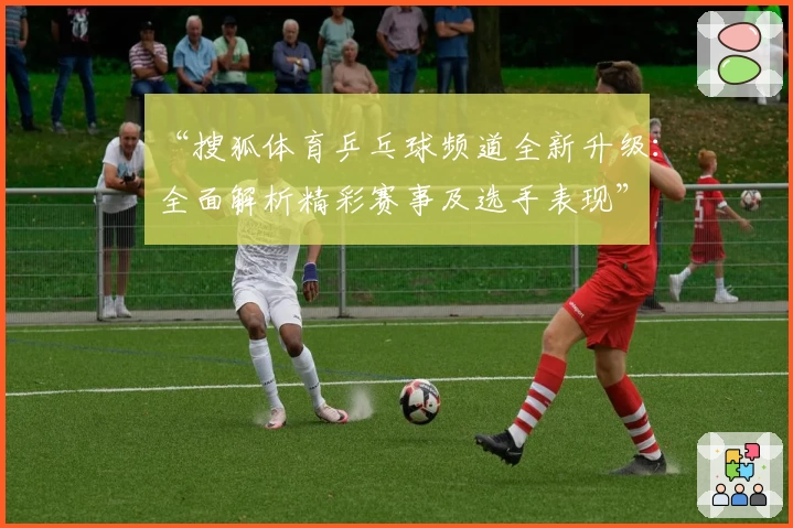 “搜狐体育乒乓球频道全新升级：全面解析精彩赛事及选手表现”